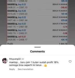 Testimonial TradeSolu